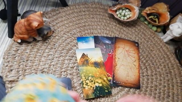 Срочно!!!Энергии завтрашнего дня ????️??♂️?#leoina #taro #shortsvideo смотреть онлайн