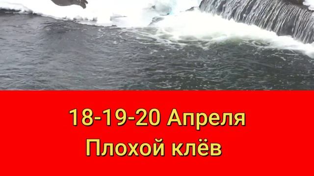 Прогноз клева рыбы на эту неделю с 15 по 30 Апреля Календарь рыбака на Апрель Календарь клева смотреть онлайн