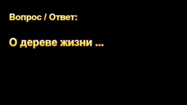 С. Пасечник. О дереве жизни ... МСЦ ЕХБ. смотреть онлайн