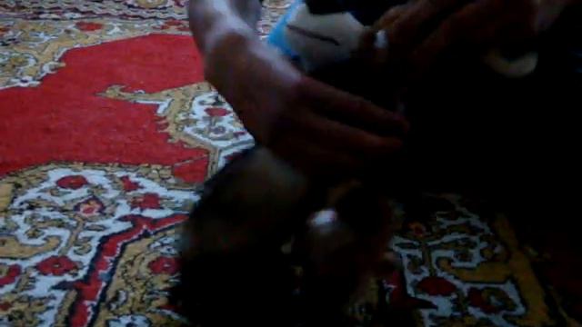 харёк - ты просто танцуй смотреть онлайн