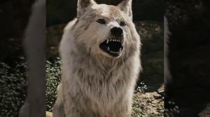 Волчица Роша. Маугли. Ракша