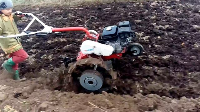 Мотоблок фаворит МБ1 смотреть онлайн