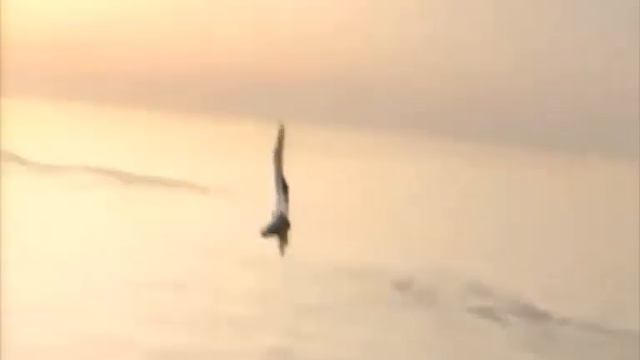 В синем небе плывут облака. Песня про летчиков ушедших в небо. смотреть онлайн