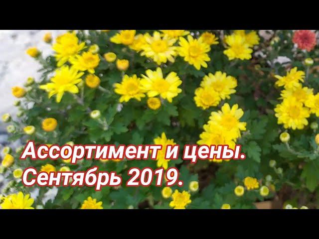 Ассортимент и цены. Сентябрь 2019. смотреть онлайн