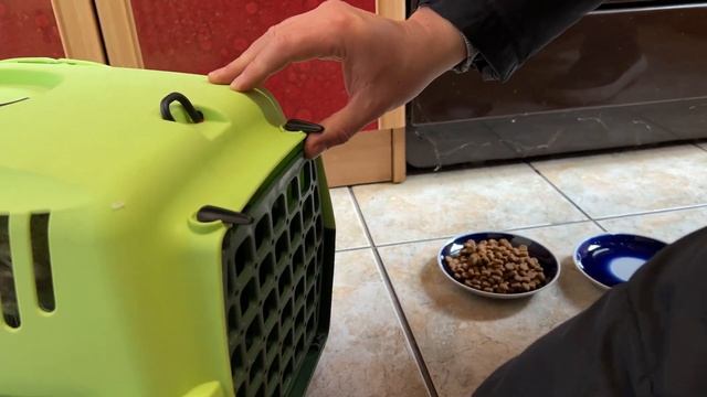 СРОЧНО ЕДЕМ В БОЛЬНИЦУ СПАСАЕМ КОТА смотреть онлайн