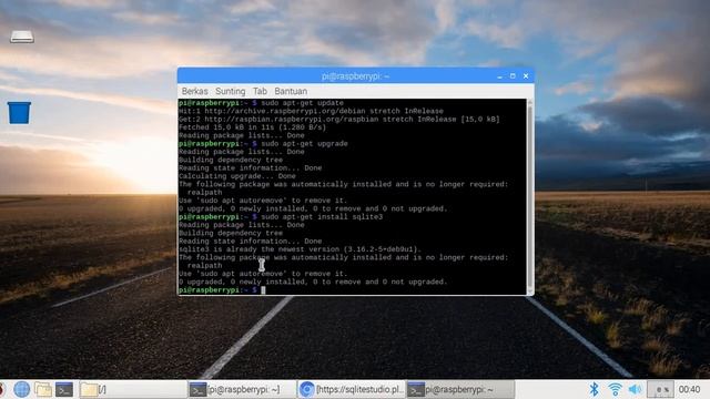 Instal sqlite3 and sqlitebrowser on raspberry pi смотреть онлайн