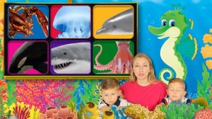 ЧТО ЭТО ЗА МОРСКОЕ ЖИВОТНОЕ? - Ч3 ❤️ МОРСКИЕ ЖИВОТНЫЕ, ДЕЛЬФИН, АКУЛА | МОРСКИЕ ЖИВОТНЫЕ ДЛЯ ДЕТЕЙ