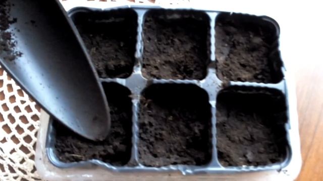 Ягоды Годжи - Полезные свойства. Посадка и уход смотреть онлайн