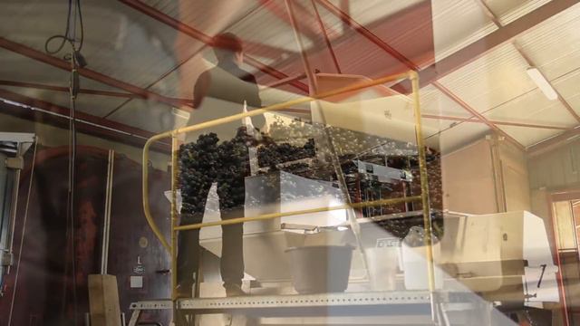 What is Protected Designation of Origin? смотреть онлайн