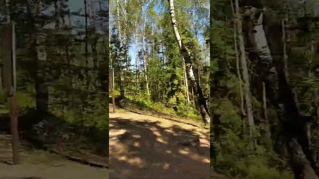голубые Озера Нарочанский заповедник смотреть онлайн