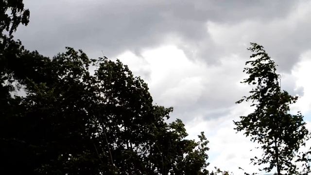 Nikon D3100 Тест видео съёмки №6. смотреть онлайн