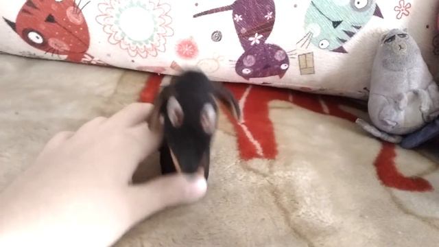 Моя первая девушка (история из жизни) это детская любовь смотреть онлайн