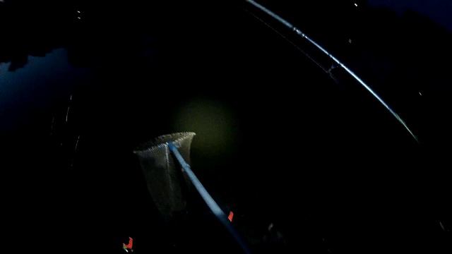 Две ночные рыбалки на реке смотреть онлайн