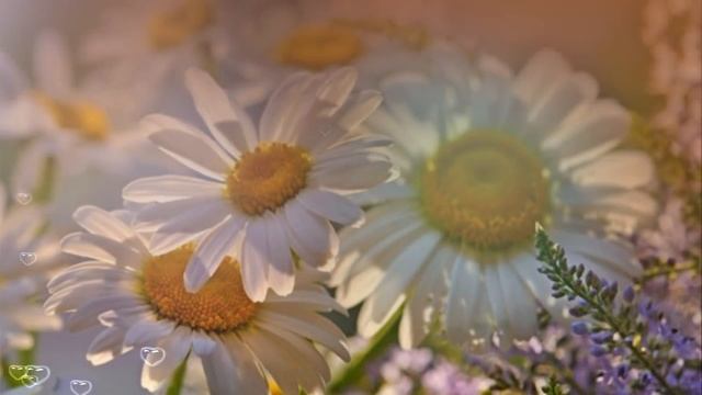 До свидания детский сад смотреть онлайн