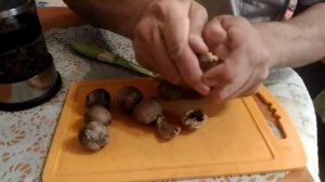 Почему грецкий орех горький? Как правильно его есть. Как убрать горечь из ореха.