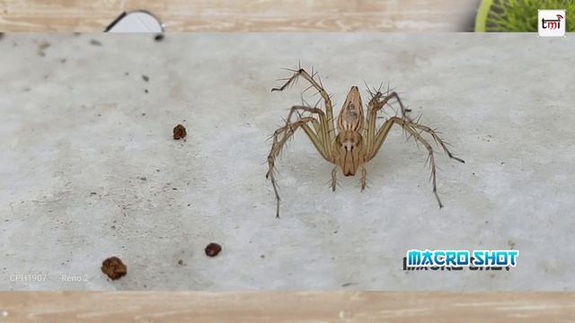 OPPO Reno 2 Camera Review: Brings Out the photographer in you! смотреть онлайн