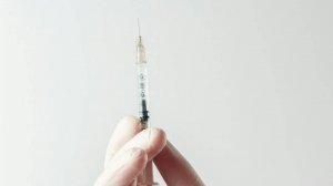 вакцинация щенков и взрослых собак