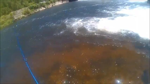VIDEO pêche passion 56 poisson de combat avec canne à mouche 9' soie de 9 смотреть онлайн