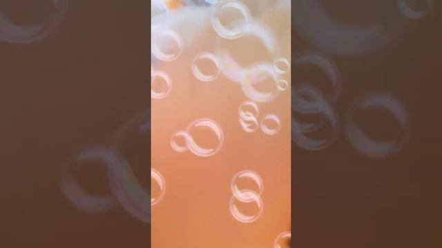 Кто? Где? живёт? Читает Папа. смотреть онлайн