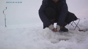 ловля судака зимой на тюльку