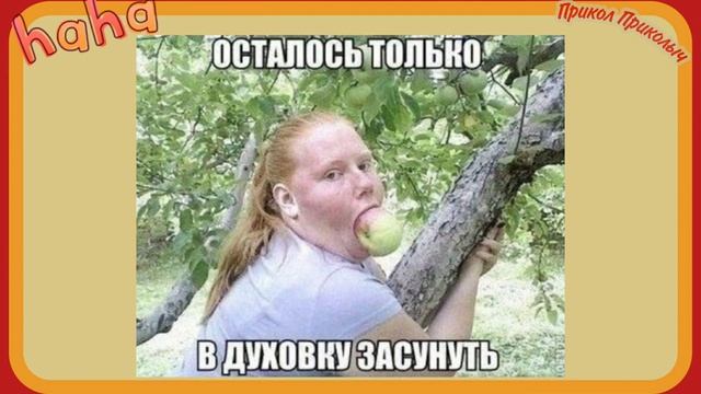 Приколы и прикольные картинки. ТЕСТ НА ПСИХИКУ смотреть онлайн