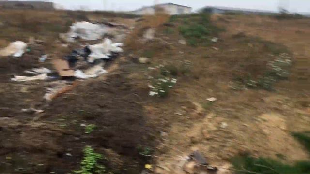 Зеленый Фронт: Скотомогильник в Сотниково смотреть онлайн
