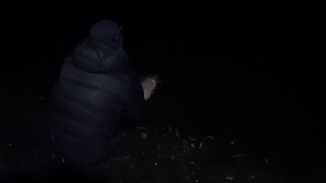 Супер осенняя рыбалка в Воронеже смотреть онлайн