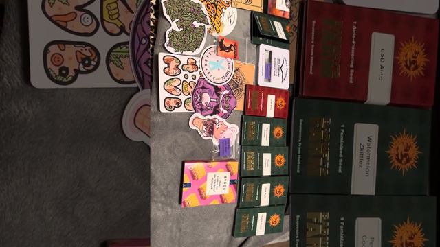 PICKING SEED BANKS 😜! AND GENETICS MADE EASY💪! My top breeders and strains! смотреть онлайн