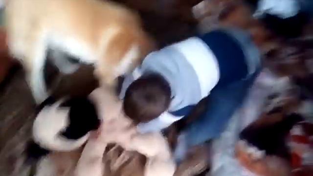 2 часть. Бедная игрушка!!! смотреть онлайн