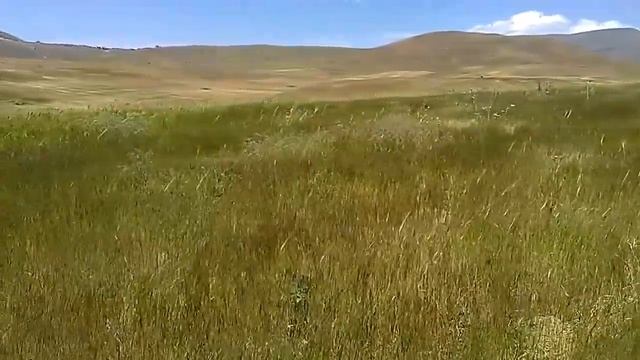 Армения, Банаван, травы на ветру смотреть онлайн