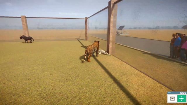 Planet Zoo: Tiger attacks and kills other animals смотреть онлайн