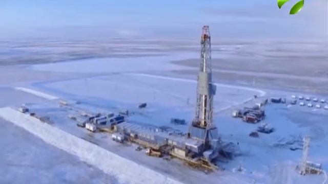 По итогам прошлого года на Ямале зафиксирован рост объема добычи нефти