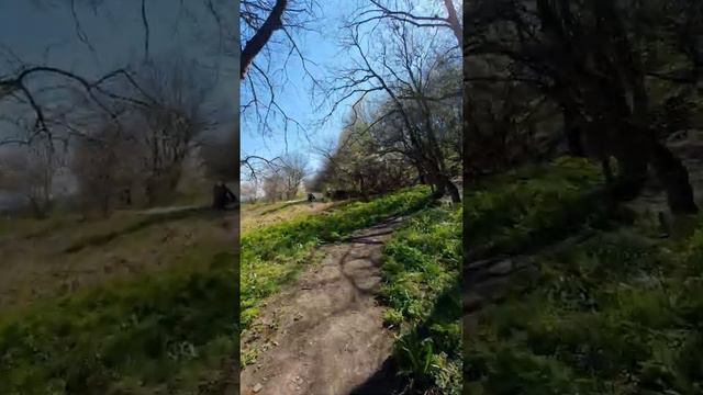 Прогулка под горой Змейка смотреть онлайн