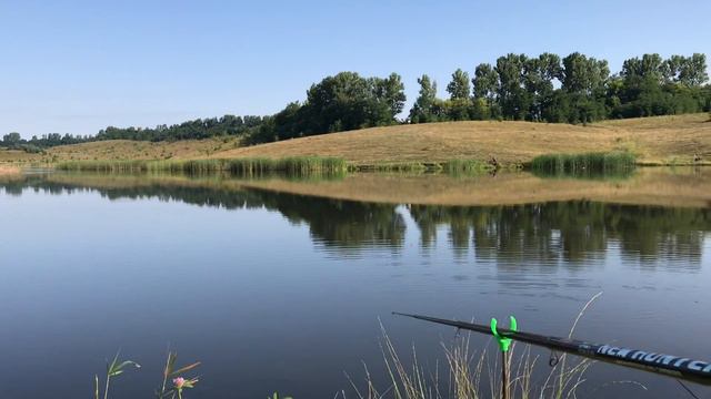 КАРП КЛЮЁТ КАК БЕШЕНЫЙ ЧАСТЬ 1 смотреть онлайн