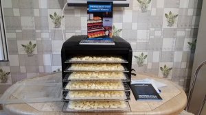 Дегидратор . Заготовка сушеного чеснока . 2.5 кг.свежего вышло 0.800гр сухого.