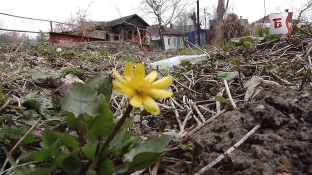 Кто бросает бытовой мусор в реку Рязанку? смотреть онлайн