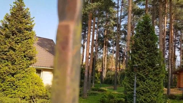 Самые интересные места ТОКСОВО смотреть онлайн