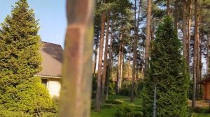 Самые интересные места ТОКСОВО