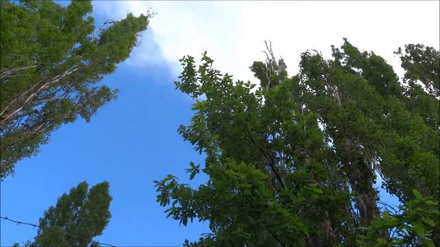 Меркурий проходит по диску Солнца, 09.05.2016, Харьков смотреть онлайн