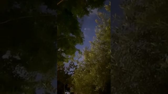 Ангелы над Израилем. смотреть онлайн