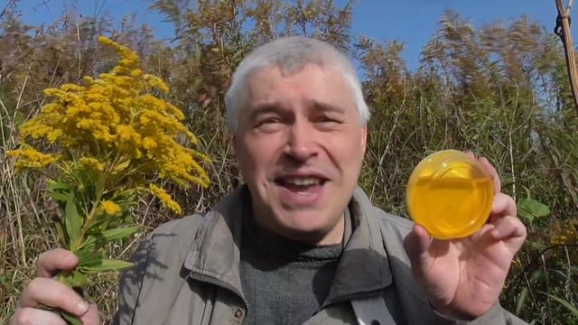 Путешествие пешком, природа и река Мезенка смотреть онлайн