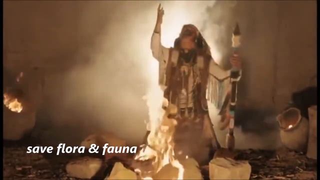 Buffy Sainte Marie -  Starwalker