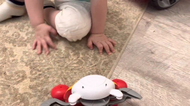 СУМАШЕДШИЙ ? КРАБ . ОТЛИЧНЫЙ ПОДАРОК МАЛЕНЬКОМУ РЕБЁНКУ смотреть онлайн