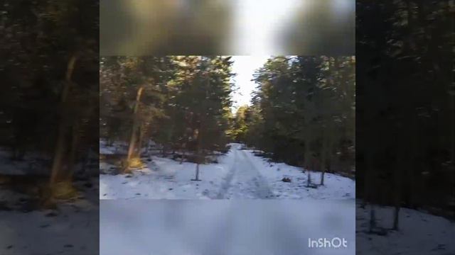 г.Борисов интересное место Беларуси! река Березина смотреть онлайн