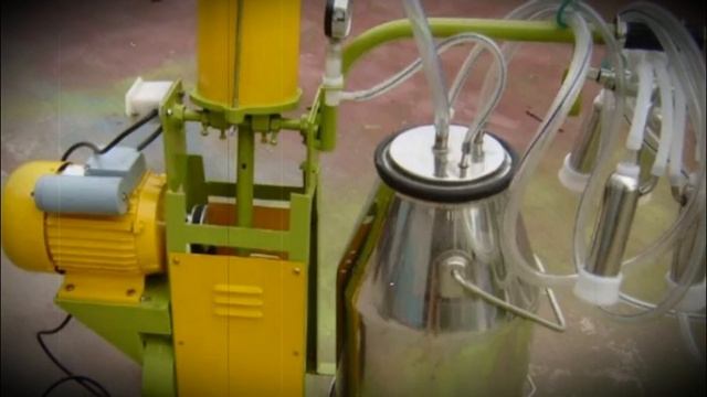 Доильный аппарат для быстрого обслуживания коз смотреть онлайн