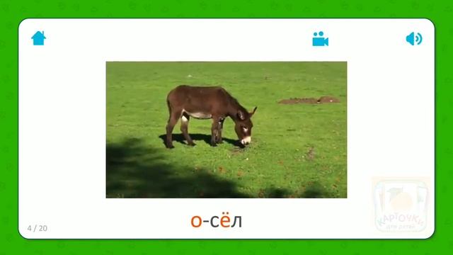 Осёл - Карточки Для Детей - Домашние Животные - Карточки Домана смотреть онлайн