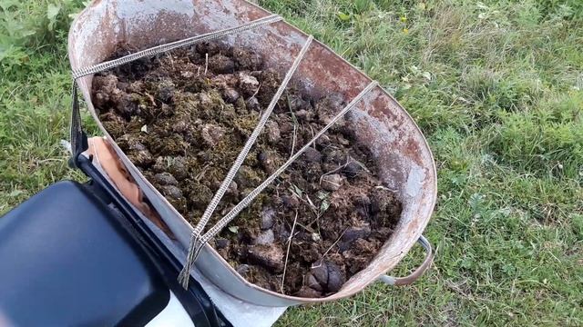 ?☝ПРИМЕНЕНИЕ@ ?КОНСКОГО НАВОЗА?.