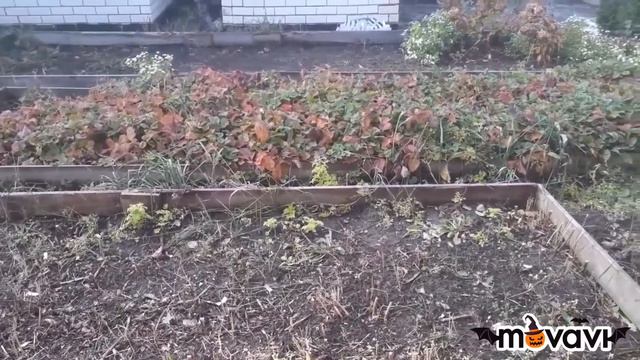 НУЖНО УСПЕТЬ СДЕЛАТЬ ЭТУ РАБОТУ В КОНЦЕ ОКТЯБРЯ.🌧🌨 смотреть онлайн