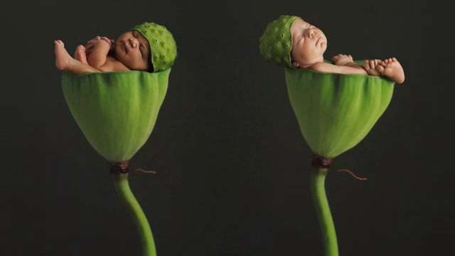 работы Anne Deddes