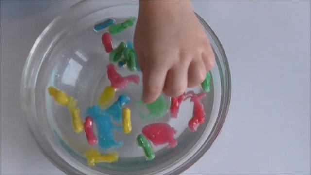 Животные в капсулах растущие животные в капсулах смотреть онлайн